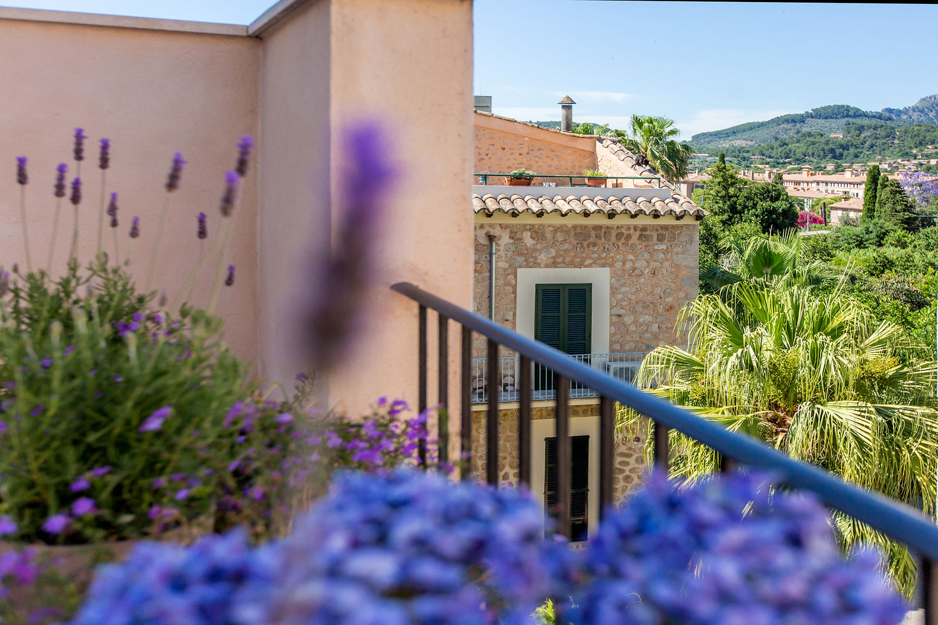 lorem ipsum dolor sit