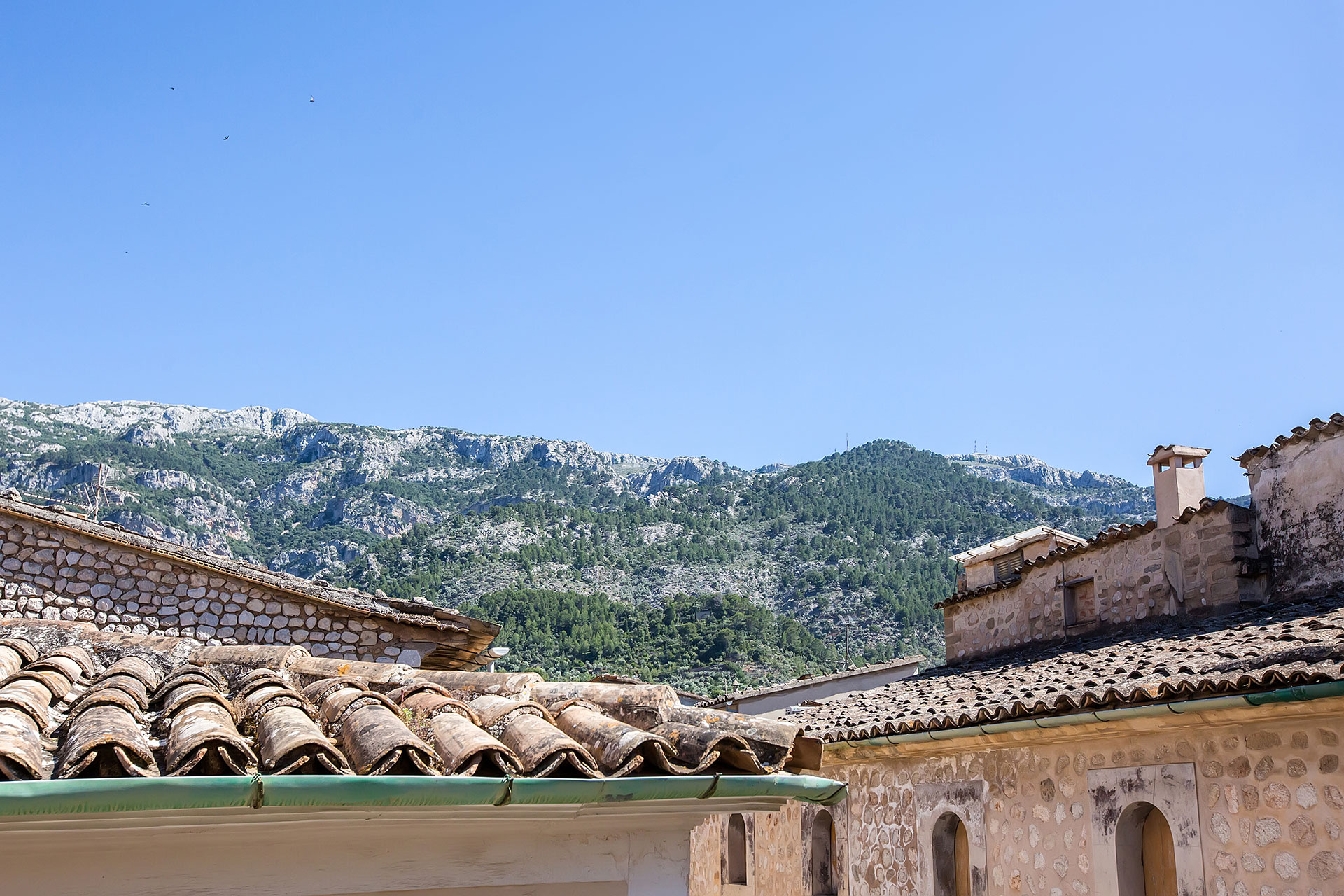 lorem ipsum dolor sit